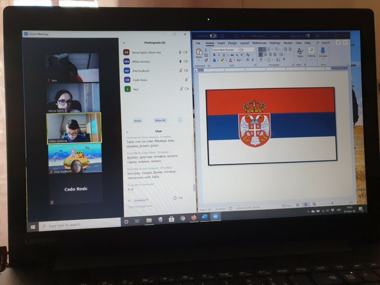 Просвјетина школа у доба короне