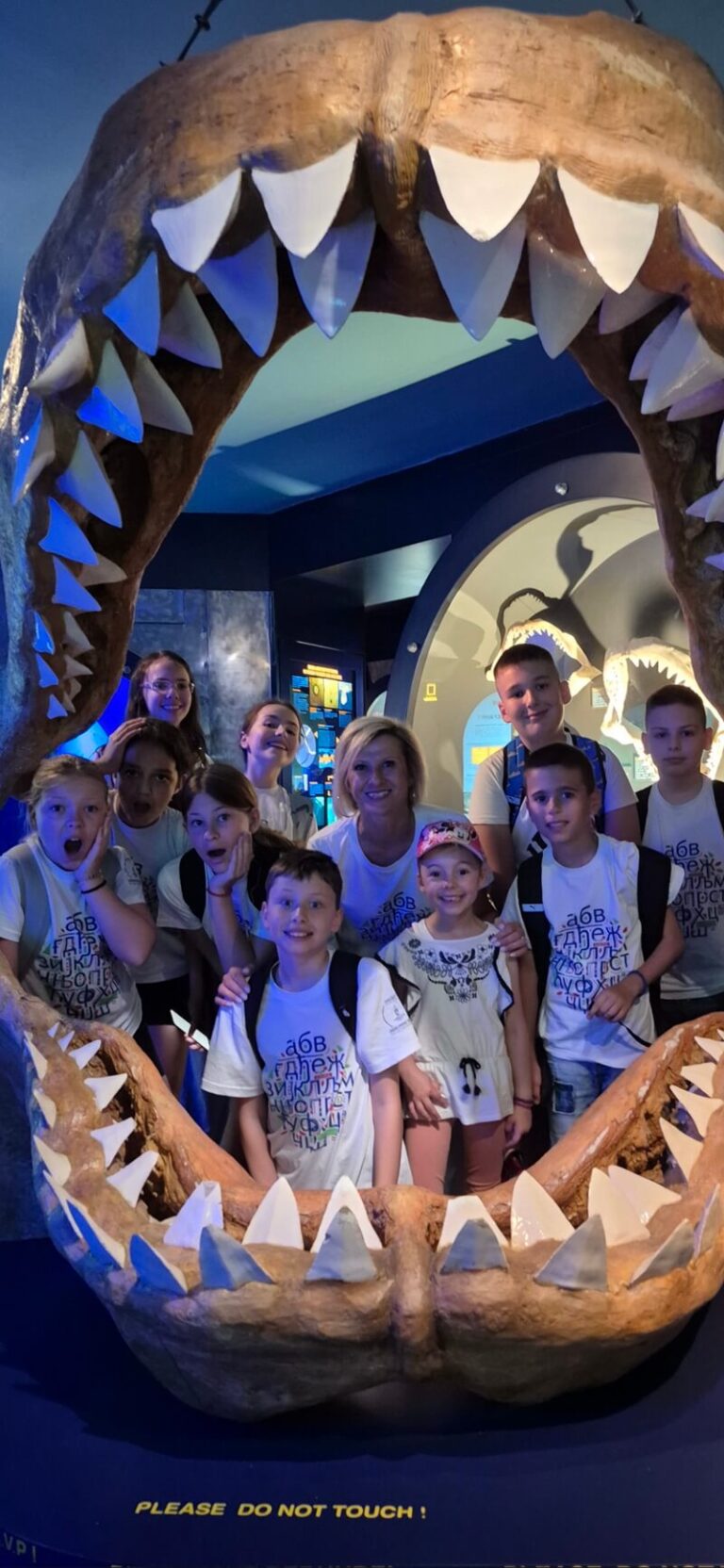 Просвјетина школа српског језика у Енсу